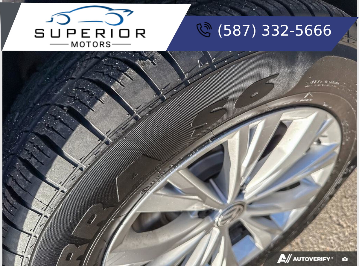 2019 Volkswagen TIGUAN Trendline